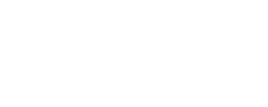 313